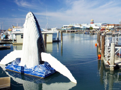 Humpback Whale Statue at Boat Harbour, Urangan, Hervey Bay, Queensland, Australia