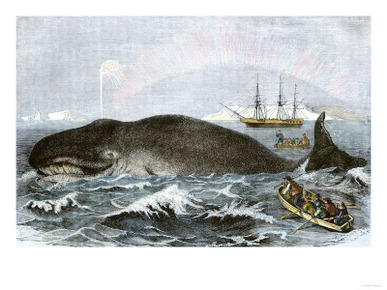 Longboat Crew Attacking a Whale with Hand Harpoons in the Arctic, c.1800