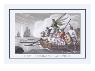 Shooting the Harpoon at a Whale
