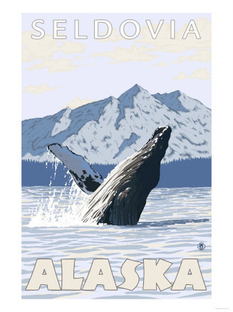 Humpback Whale, Seldovia, Alaska