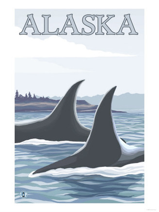 Orca Whales #1, Alaska