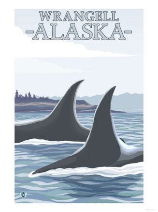 Orca Whales #1, Wrangell, Alaska