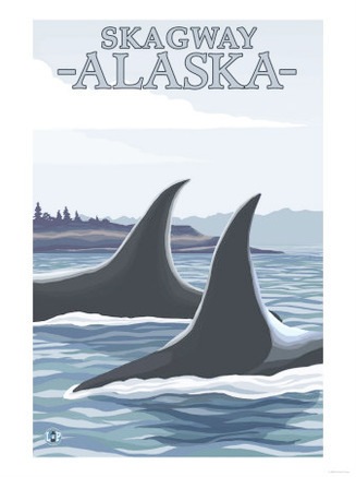 Orca Whales #1, Skagway, Alaska