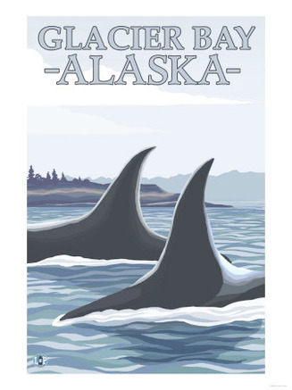 Orca Whales #1, Glacier Bay, Alaska