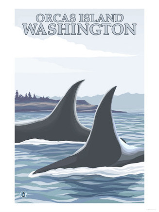 Orca Whales #1, Orcas Island, Washington