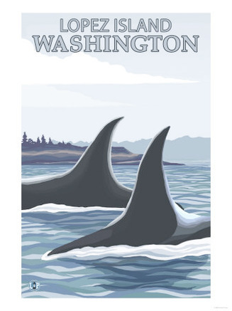 Orca Whales #1, Lopez, Washington