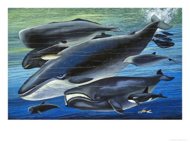 The Whale Family, Illustration from From Once Upon a Time, 1971