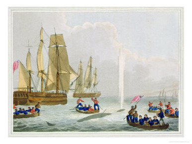 Boats Approaching a Whale, Engraved by Matthew Dubourg